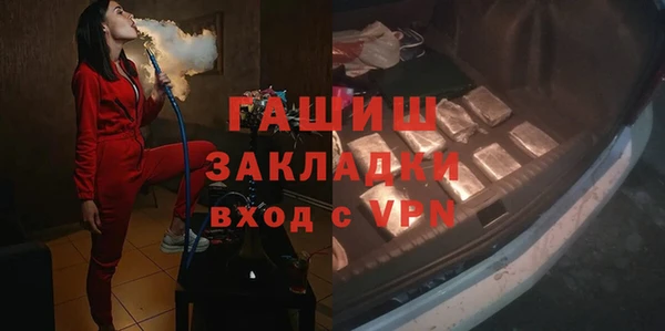 шишки Верхний Тагил