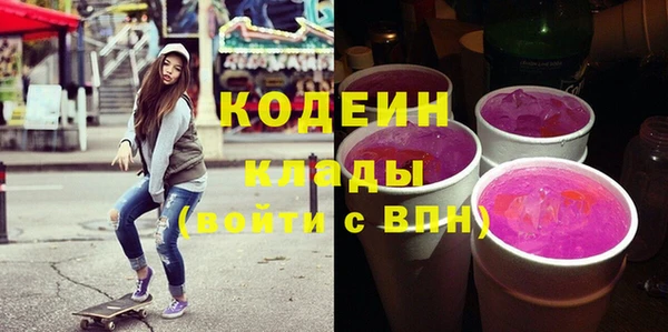 шишки Верхний Тагил