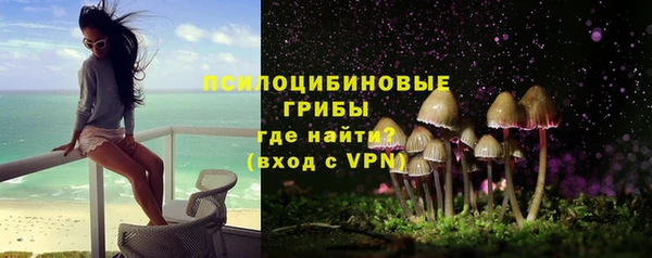 индика Бугульма