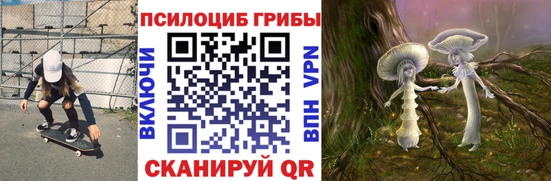 закладки  Володарск  Псилоцибиновые грибы GOLDEN TEACHER 