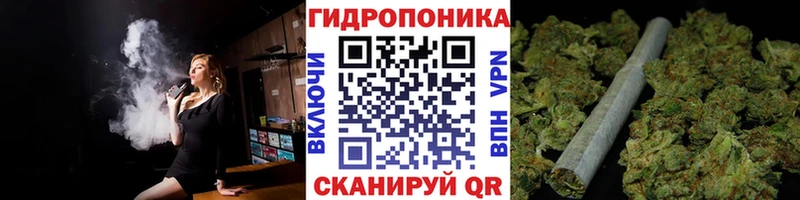 Бошки марихуана сатива  Володарск 